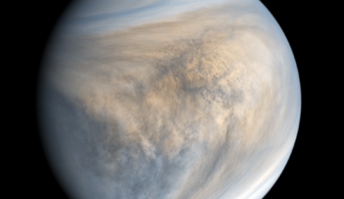 Cloud structure of the Venusian atmosphere, made visible through ultraviolet imaging (Credit : Kevin M Gill)