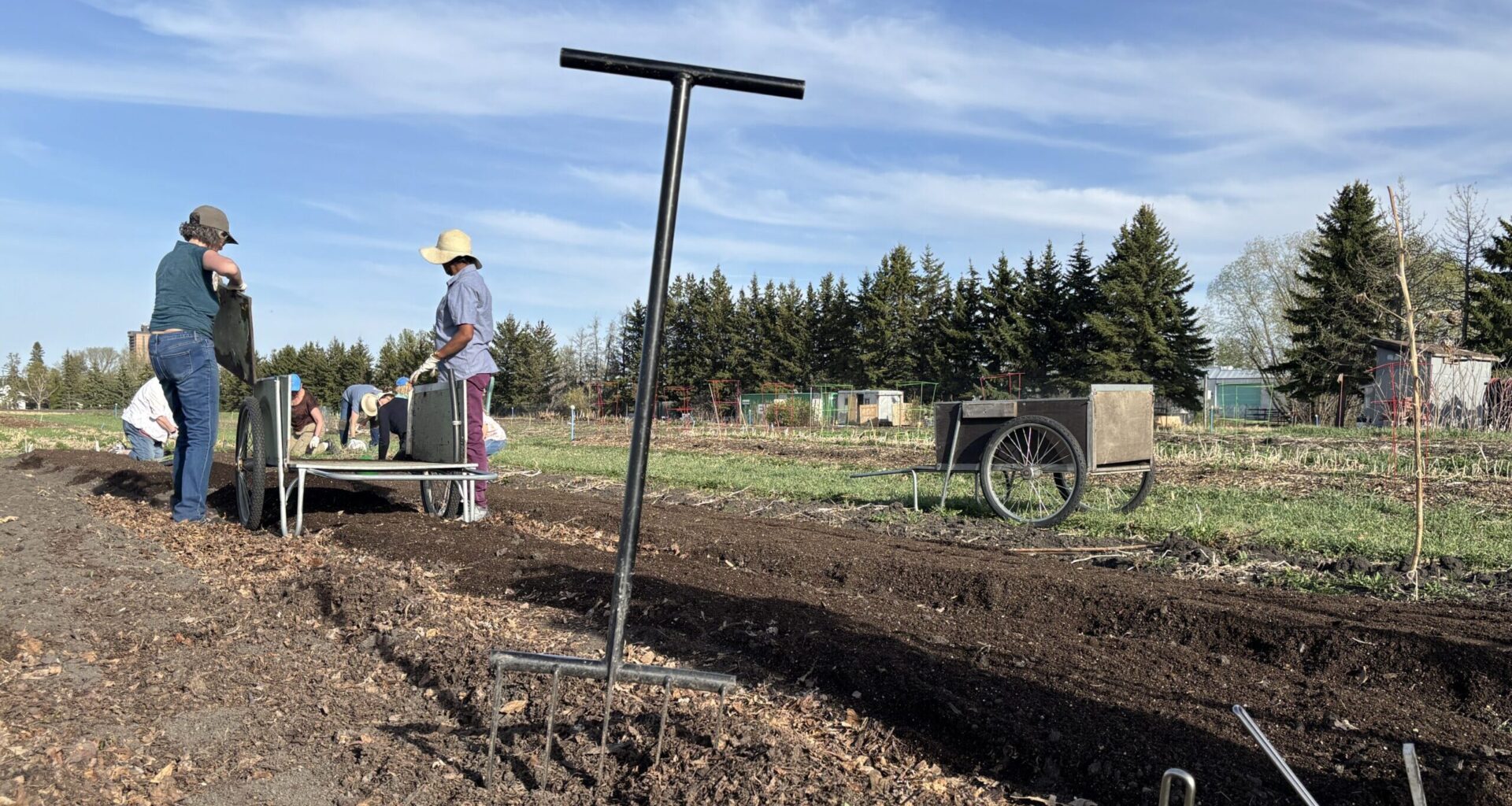 Edmonton community garden turns to fundraising for new equipment