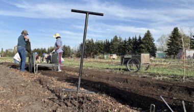 Edmonton community garden turns to fundraising for new equipment