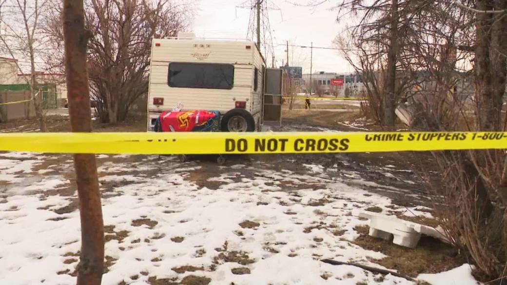 Click to play video: 'Dog shot dead, police officer injured after incident in Calgary'
