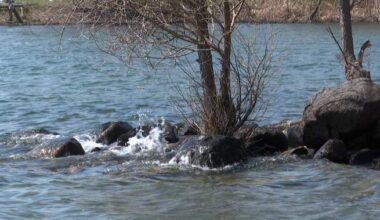 Kingston leaders call on Ontario to support marine conservation in Great Lakes