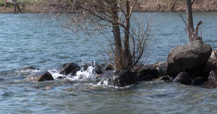 Kingston leaders call on Ontario to support marine conservation in Great Lakes
