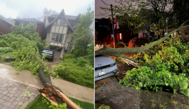 Toronto weather: Cleanup underway after severe rain storm