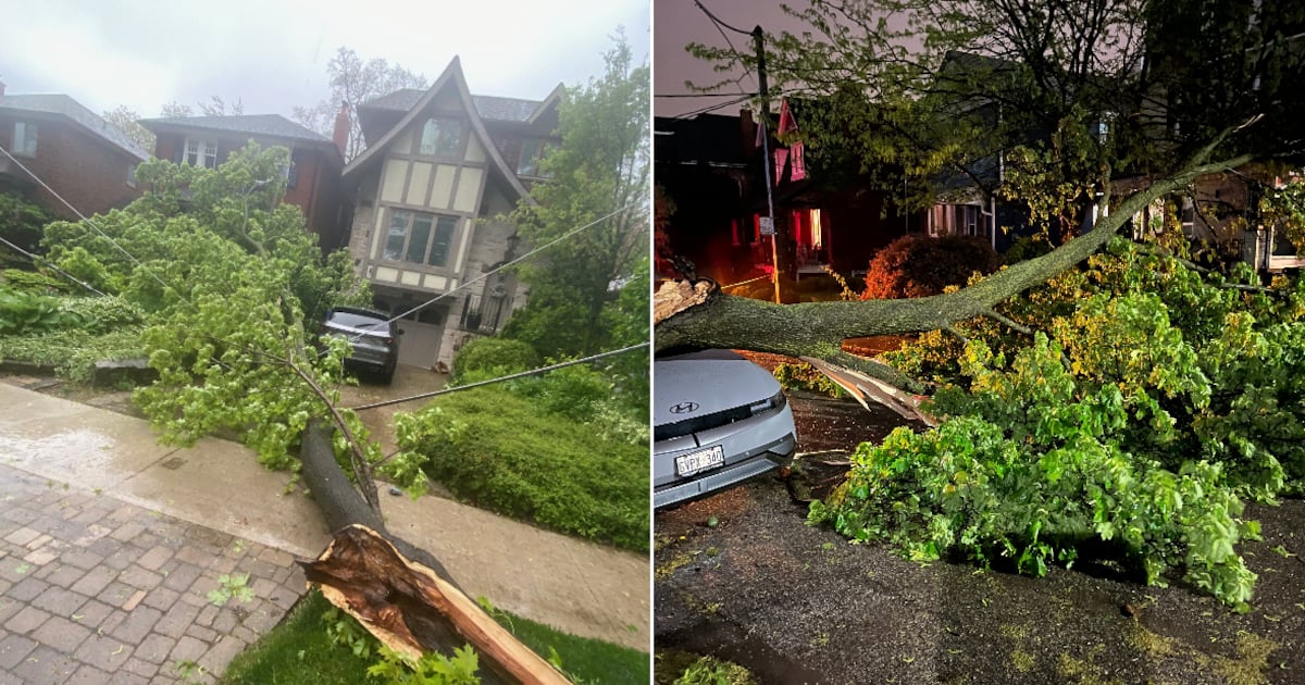 Toronto weather: Cleanup underway after severe rain storm