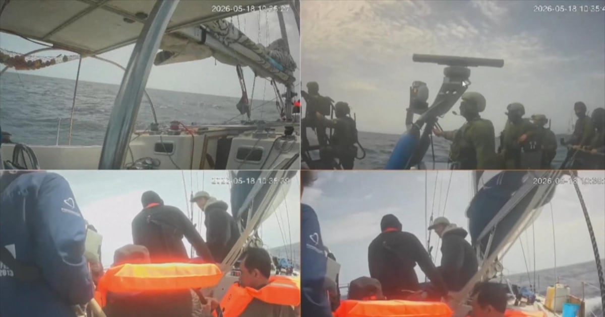Flotilla organizer confirms identities of 12 Canadians detained by Israel - CTV News