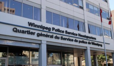 Homicides down 48.8% in Winnipeg as police report violent crime declines