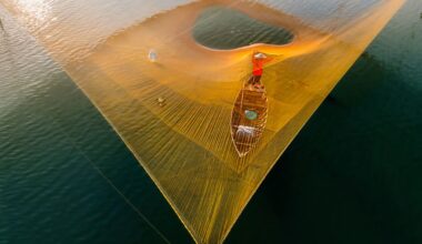 Fishermen casts net over canoe.