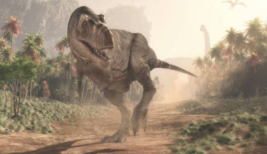Why did T. rex have tiny arms? New study explores conundrum - CTV News