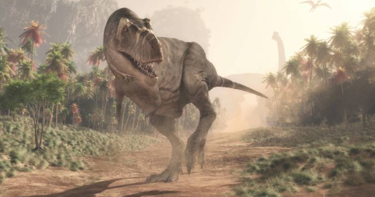 Why did T. rex have tiny arms? New study explores conundrum - CTV News