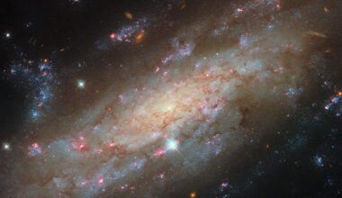 Clusters of bright blue stars and glowing red gas clouds steal the show in this new Hubble image of a glittering galaxy that stopped me in my tracks