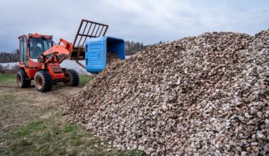 PEI fisheries brace for hardship as two diseases devastate the province’s oyster industry