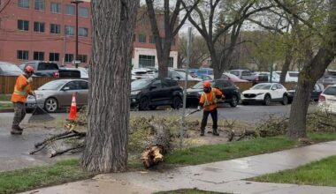 High winds causing power outages across Saskatchewan - CTV News