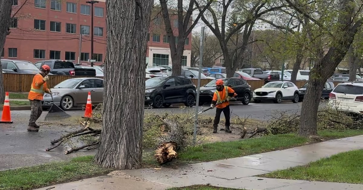 High winds causing power outages across Saskatchewan - CTV News