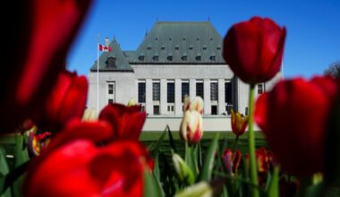 Supreme Court of Canada won’t hear appeal of Aboriginal title case in New Brunswick