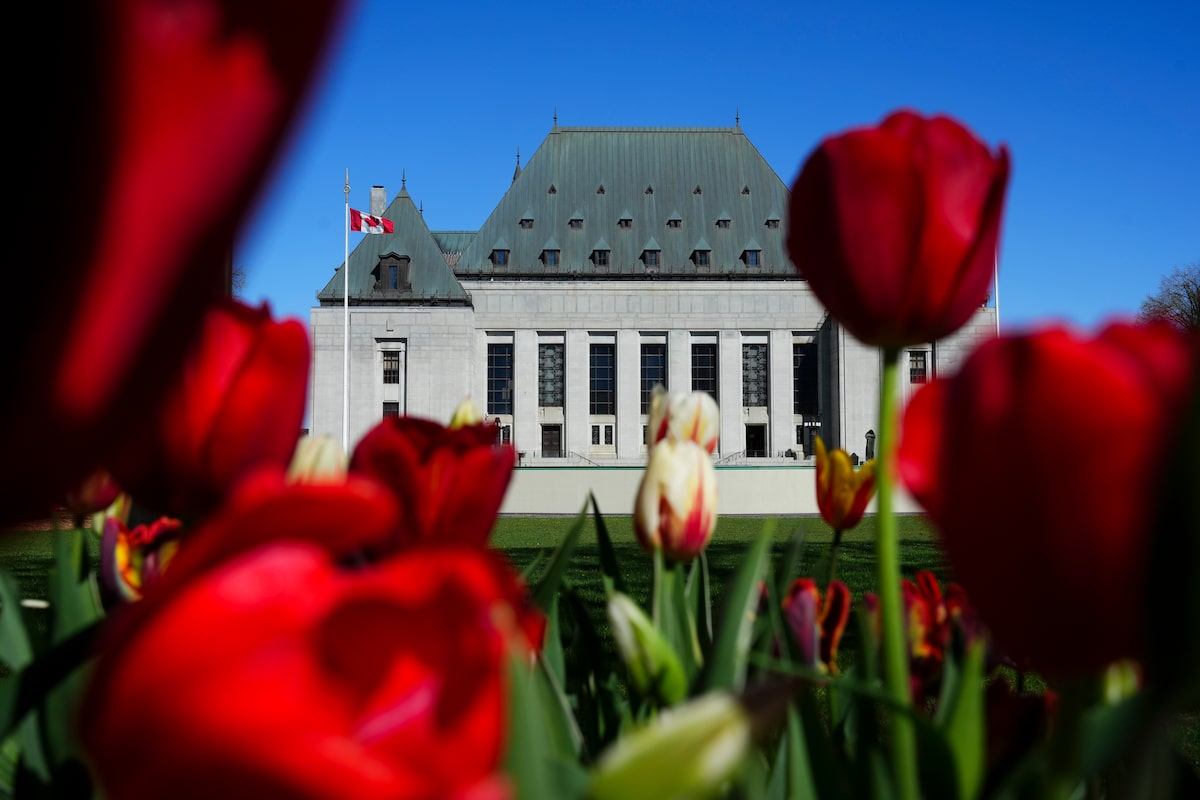 Supreme Court of Canada won’t hear appeal of Aboriginal title case in New Brunswick