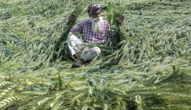 Fertilizer shortages and rising fuel prices could trigger food crisis across Asia