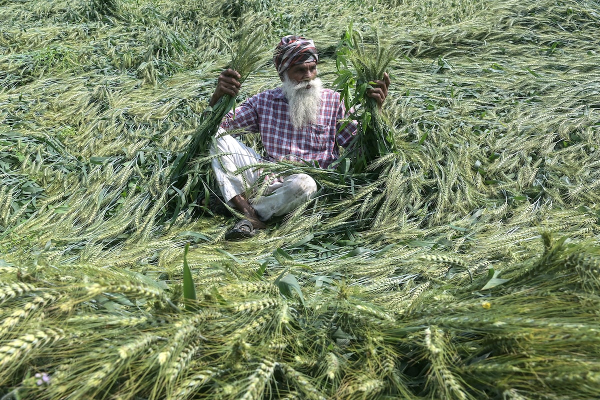 Fertilizer shortages and rising fuel prices could trigger food crisis across Asia