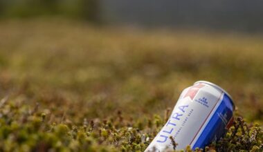 Is drinking in Montreal parks legal? The answer is a little complicated