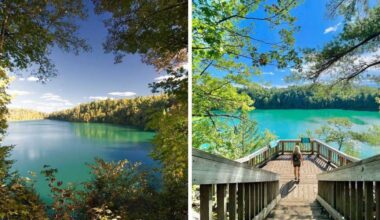 This woodland boardwalk near Ottawa leads past glassy waters to a rare turquoise lake