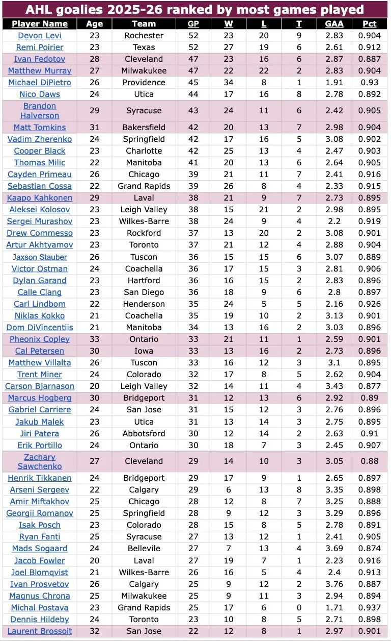 AHL goalies