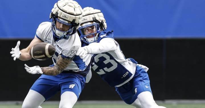 Blue Bombers’ return star Vaval pushes for starting defence role in 2nd CFL season - Winnipeg