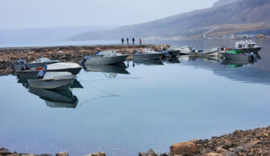 Ottawa injects $957.8M into small craft harbours – Eye on the Arctic