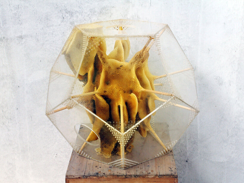 bees artists