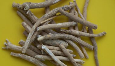 Ayush issues ban on ashwagandha leaf extracts