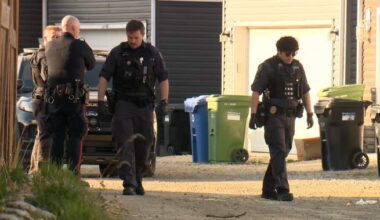 Calgary police report an increase in violent crime committed by youth