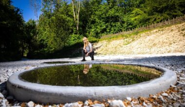 Nancy Holt’s Land Art lands in the UK - The Art Newspaper