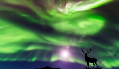 How to Watch the Northern Lights Tonight