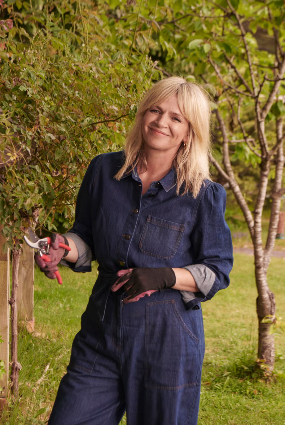 zoe ball exercise zoe ball exercise