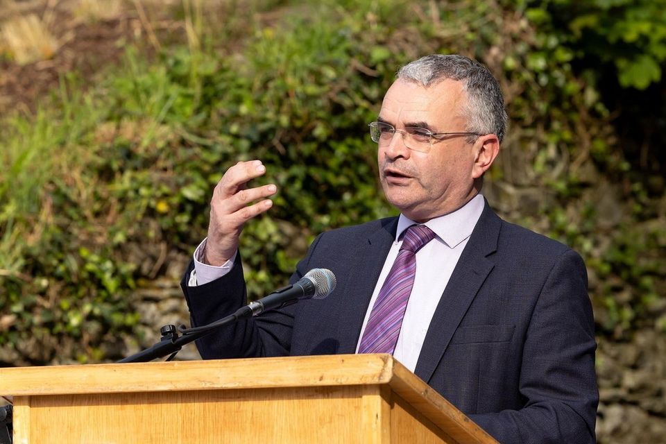 Social Protection Minister Dara Calleary released the figures. Photo: Mary Browne