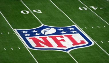 Poll: Should the NFL Expand to 18-Game Season?