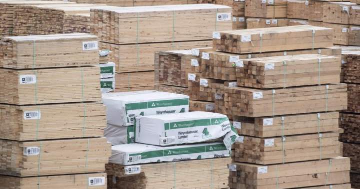 B.C. premier can’t understand ‘why’ softwood lumber is not on tariff relief list