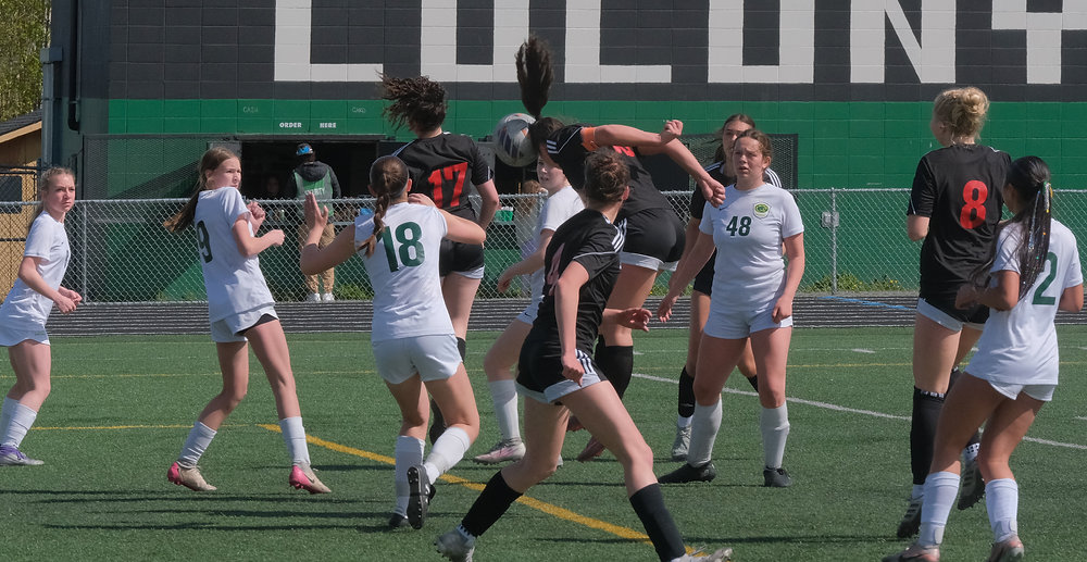 Crimson Bears soccer girls defeat Service 4-0 in consolation semifinals