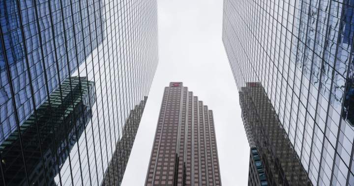 Canada’s big banks brace for more bad loans, focus on ‘de-risking’ - National