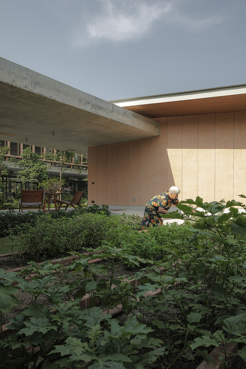 a pair of banyan trees anchors anonym studio’s open-air family house in thailand - 2