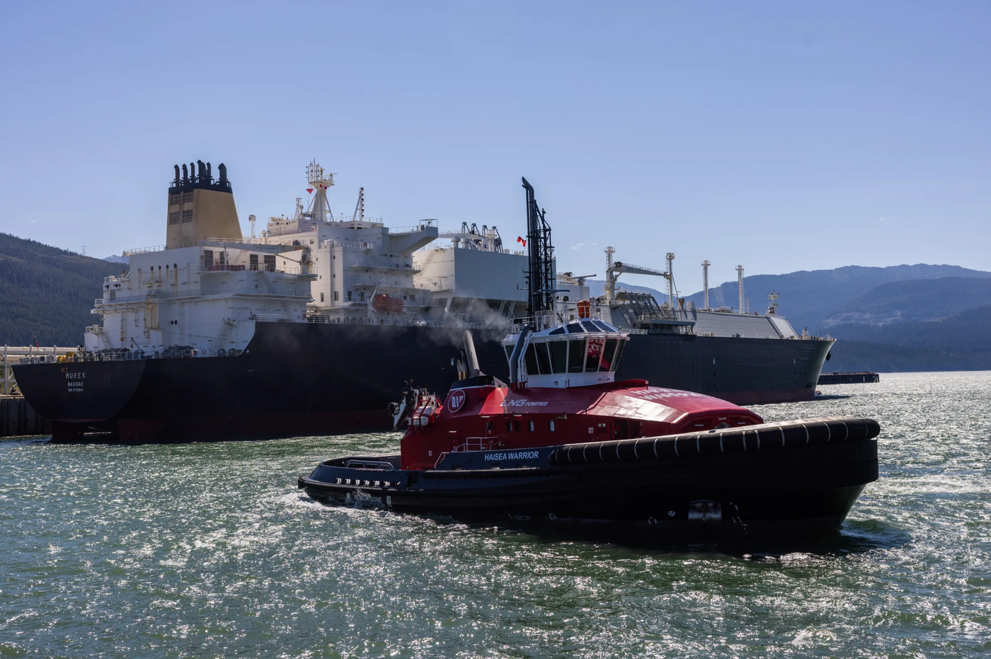 Ottawa warned public funding for LNG and fossil fuel projects could trigger Charter challenges