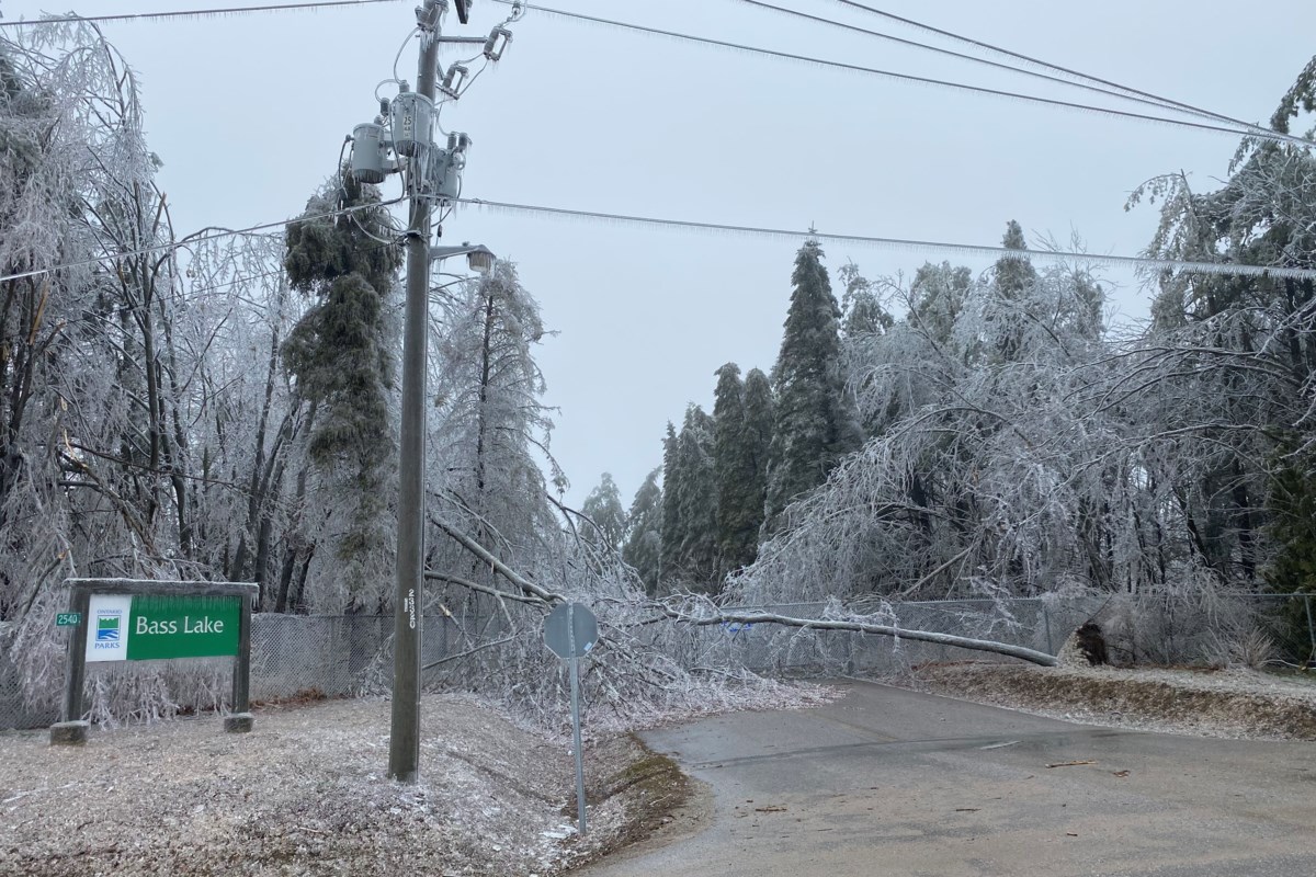 In wake of ice storm, new trees planted at local campground