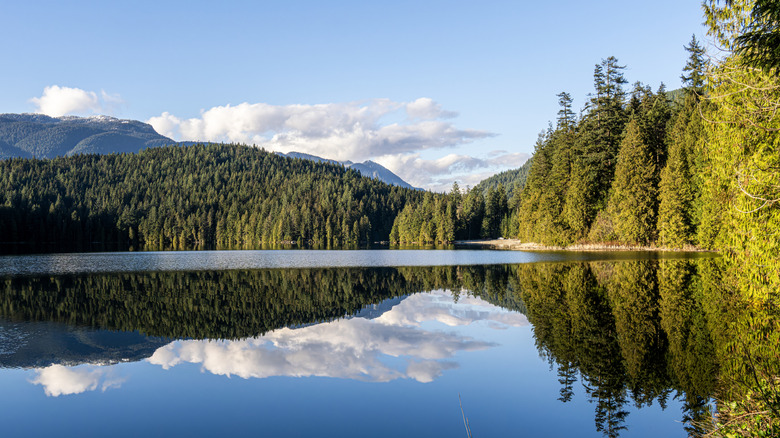 View of Sasamat Lake outside of Port Moody, British Columbia, clouds and trees reflected on the surface