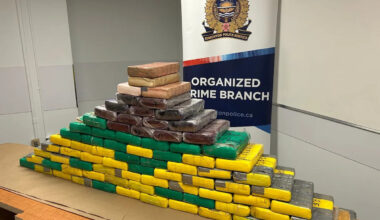 Edmonton police seize $8M in drugs as part of collaborative national investigation