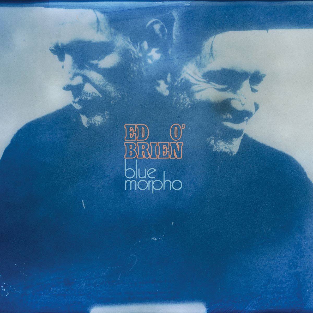 Ed O'Brien, 'Blue Morpho'. Credit: Press