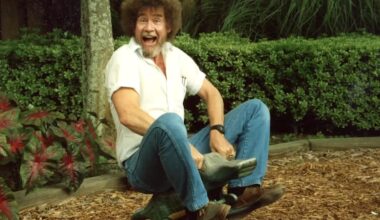 Bob Ross in documentary "Happy Accidents, Betrayal & Greed" (Netflix)
