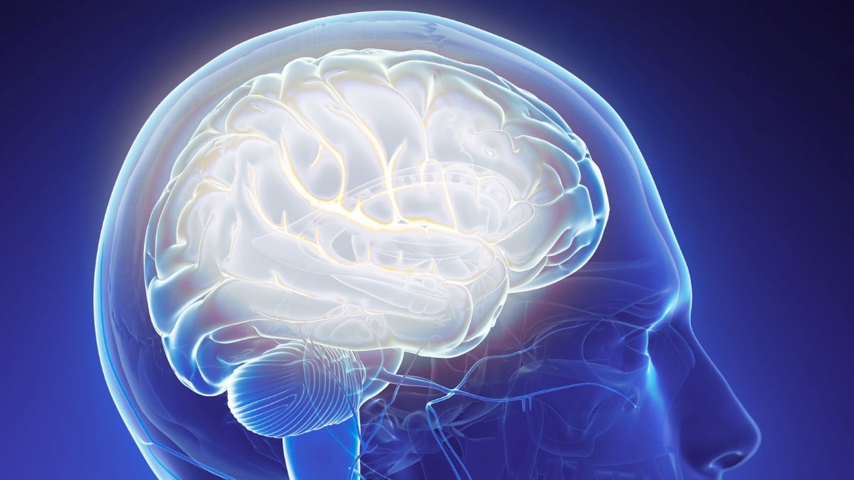 One Rare Condition Seems to Protect The Brain From Schizophrenia : ScienceAlert