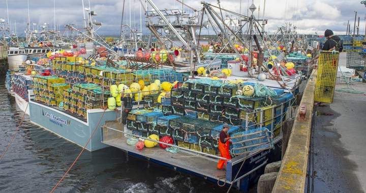 Ottawa seeking proposals from groups committed to cleaning up ‘ghost gear’ in water