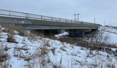 Man charged with killing cats, dumping them under Winnipeg bridge pleads guilty to lesser offence