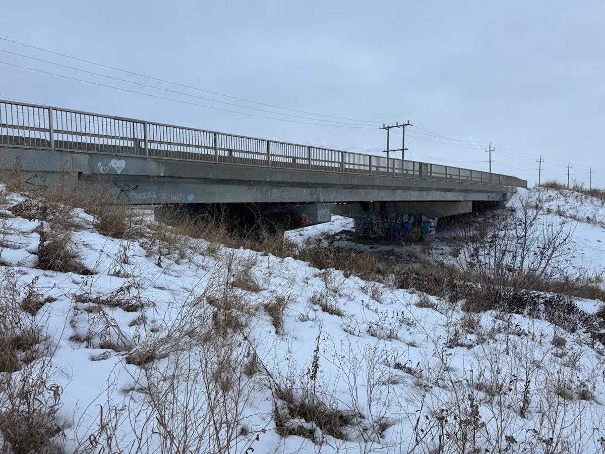 Man charged with killing cats, dumping them under Winnipeg bridge pleads guilty to lesser offence
