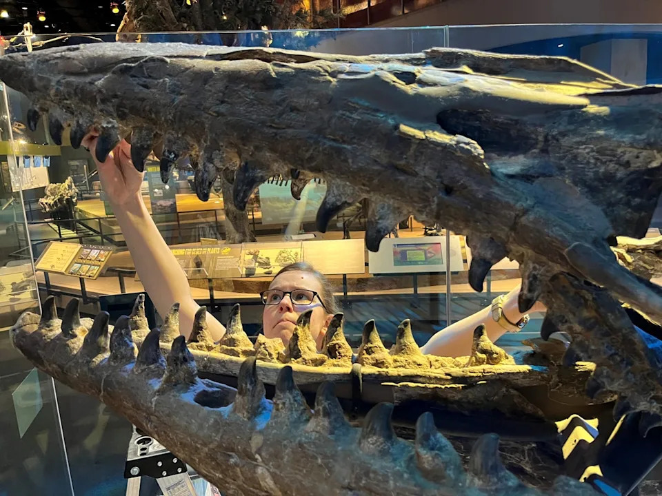 T rex (Perot Museum of Nature and Science)