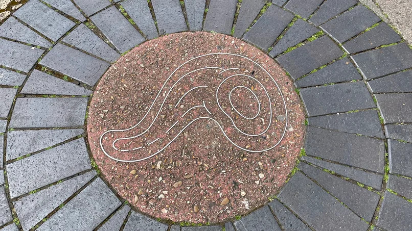 An image of a bacteria cell outlined in metal and set in stone, paved into the ground. The cell is curved in shape with a set of circles at one end and a long protruding shape on the left.